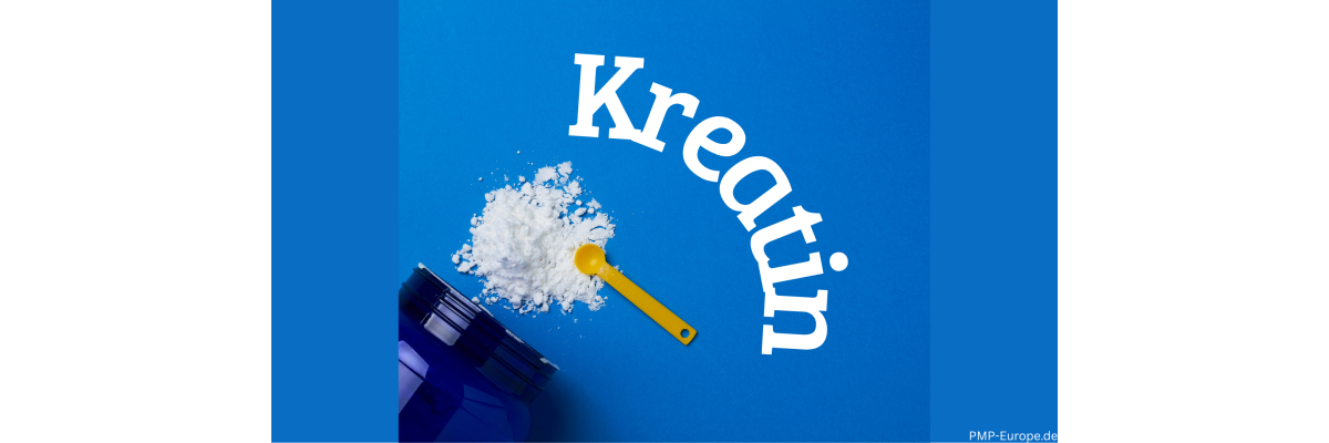 Kreatin – Wirkung, Anwendung und sinnvolle Einnahme im Überblick - Kreatin – Wirkung, Anwendung und sinnvolle Einnahme im Überblick