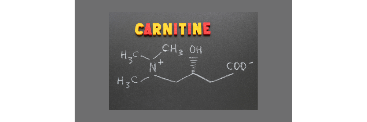 L-Carnitin – eine natürlich vorkommende Verbindung im menschlichen Körper - L-Carnitin – eine natürlich vorkommende Verbindung im menschlichen Körper